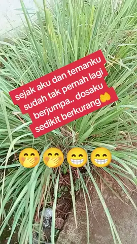 hiburan😁😁#humor#fyp 