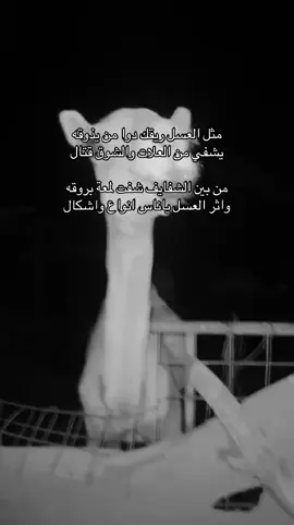 #foryoupage❤️❤️ #viralvideo #foryoupage #اكسبلورexplore 