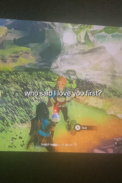 canon btw   #thelegendofzeldatearsofthekingdom #totk #zeldameme #zelink #zeldaedit 