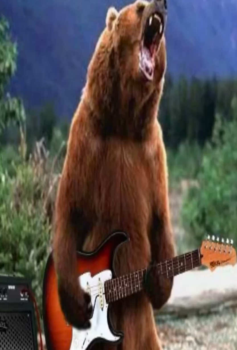 #bear 