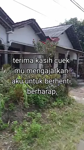 #fypシ゚viral #masukberandafyp #blitar24jam