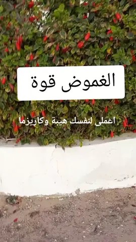 اعملى لنفسك هيبة وحضور  #اكسبلور #تنمية_بشرية #fypシ゚viral #f 