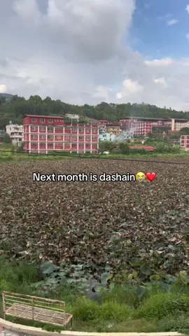 😭❤️#fyp #foryou  #foryourpages  #tiktoknepal🇳🇵 #rosanhora❤️‍ 