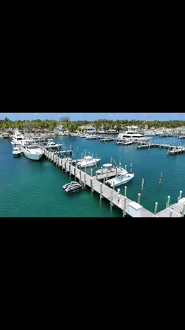 Bug hunters #diving #lobster #florida #fyp #funny @Jarred Armstrong 