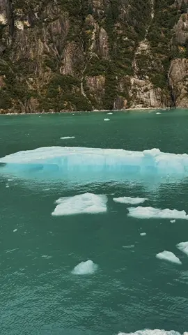 A must bucket list !  #alaska #travel #alaskancruise #alaskacruise  #alaskalife 