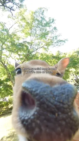 #relatable #viralvideos #bf #gf #couple 