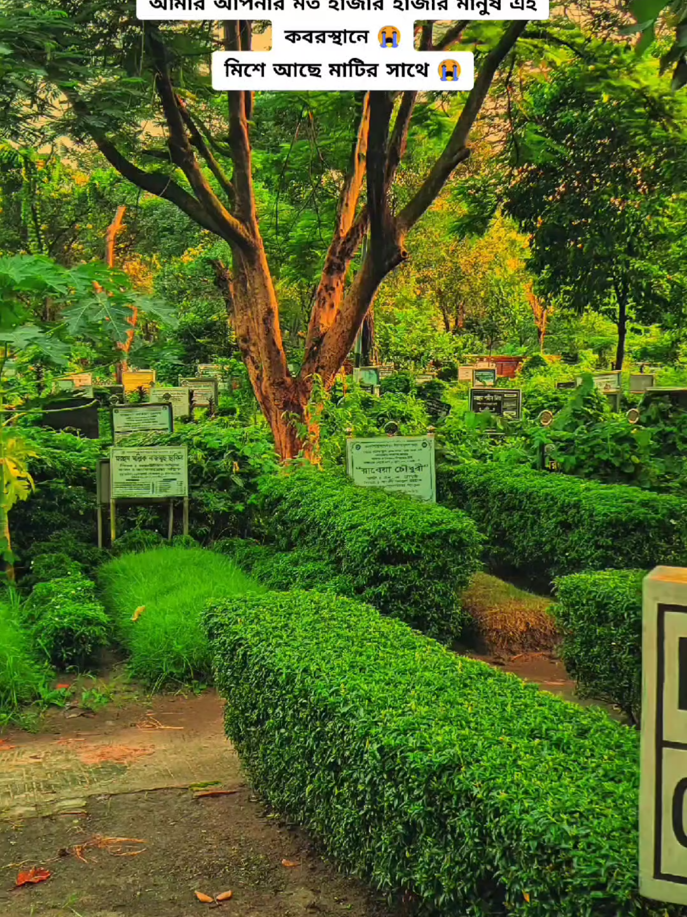 এই দুনিয়ার শেষ ঠিকানা কোন এক কবরস্থান 🙁