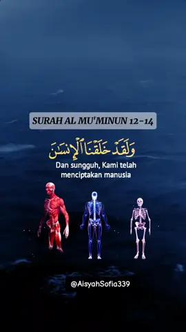Surah Al Mu'minun 12-14 . . . . #quran #quran_alkarim #قران #tilawat #قران_كريم #alquran #islamic_video #islam #fyp #foryou #foryoupage #surah 