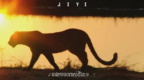 នាងកាចណាស់ តែនាងគួរអោយស្រលាញ់ 🙂‍↔️🫶