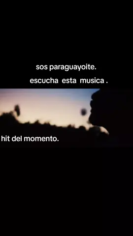 si sos paraguayoite esta musica  es para vos#paraguayoite🇵🇾❤️ #guarani #paraguaytiktok #publicidad #h 