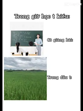 #dieusaophuongvi #dieusaophutho #xhuonggggggggggggg 