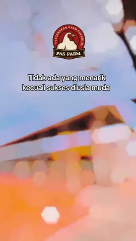 #cuansetiaphari #cuansetiaphari #usahatanparibet #kemitraanbisnis #Pasfarm 