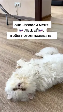 27 Лёха иногда не только Лёха