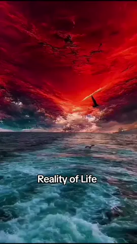 Reality of life #life #angel #death #bokharifamily 