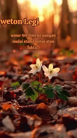 ##faktalegi #wetonlegi #wetonlegimerapat #upwetonlegi #wetonjawa 