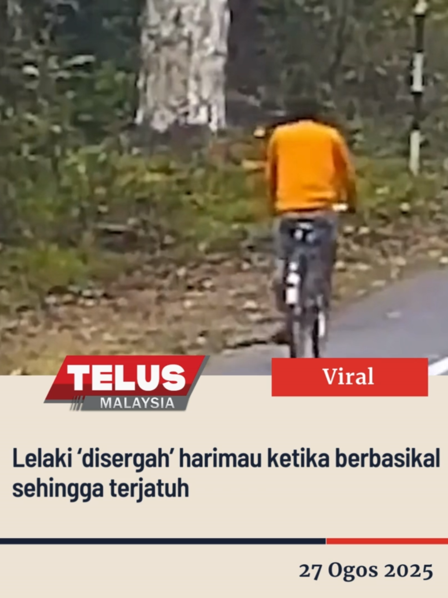 Lelaki ‘disergah’ harimau ketika berbasikal sehingga terjatuh #latest #telus #telusmalaysia #lelaki #disergah #harimau #ketika #berbasikal #sehingga #terjatuh #trendingnewsmalaysia #fyp #foryoupage