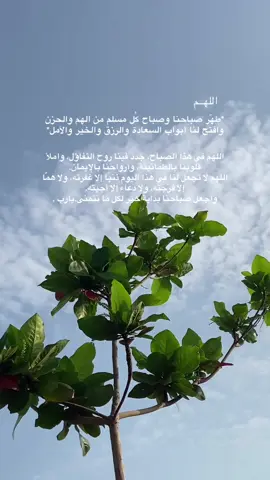 ‏⁧‫#دعوة_صباحية‬⁩ ‏اللهم اجعل لي ولقارء الرسالة  ‏من كل ضيق مخرج ومن كل هم فرج ومن كل حزن سعادة ‏اللهم بك اصبحنا وعليك توكلنا وانت خير الحافظين  ‏اللهم اصلح لنا النية والذرية  ‏اللهم اغفر لموتانا واشف مرضانا ‏  #اللهم_امين #يارب❤️ #creatorsearchinsights 