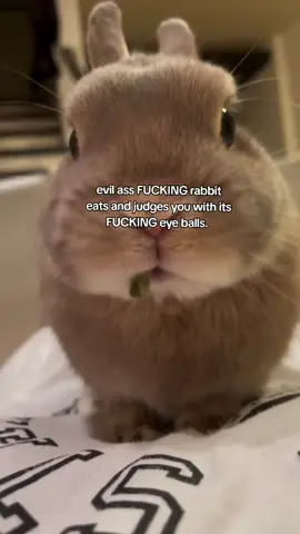 '