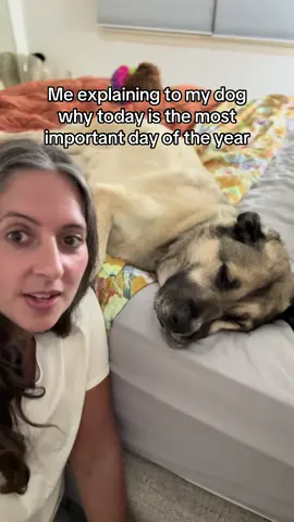 Taylor Swift’s engagement might be the best thing that ever happened to her cats. So it was very important that my dog was made aware of this new development. Also my dogs are huge swifties and we listen to her every day. 🥰 #taylorswift #taylorswifttraviskelce #taylorswiftcats 