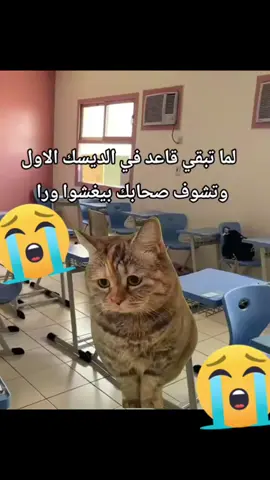 #fyp #ببجي_موبايل #اكسبلور #منافس #TikTok 
