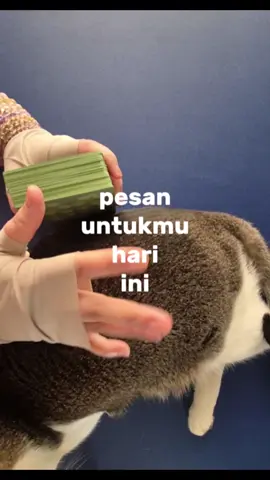 pesan untukmu hari ini👀