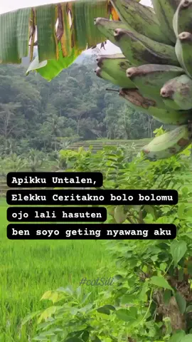 #korbansengkuni 