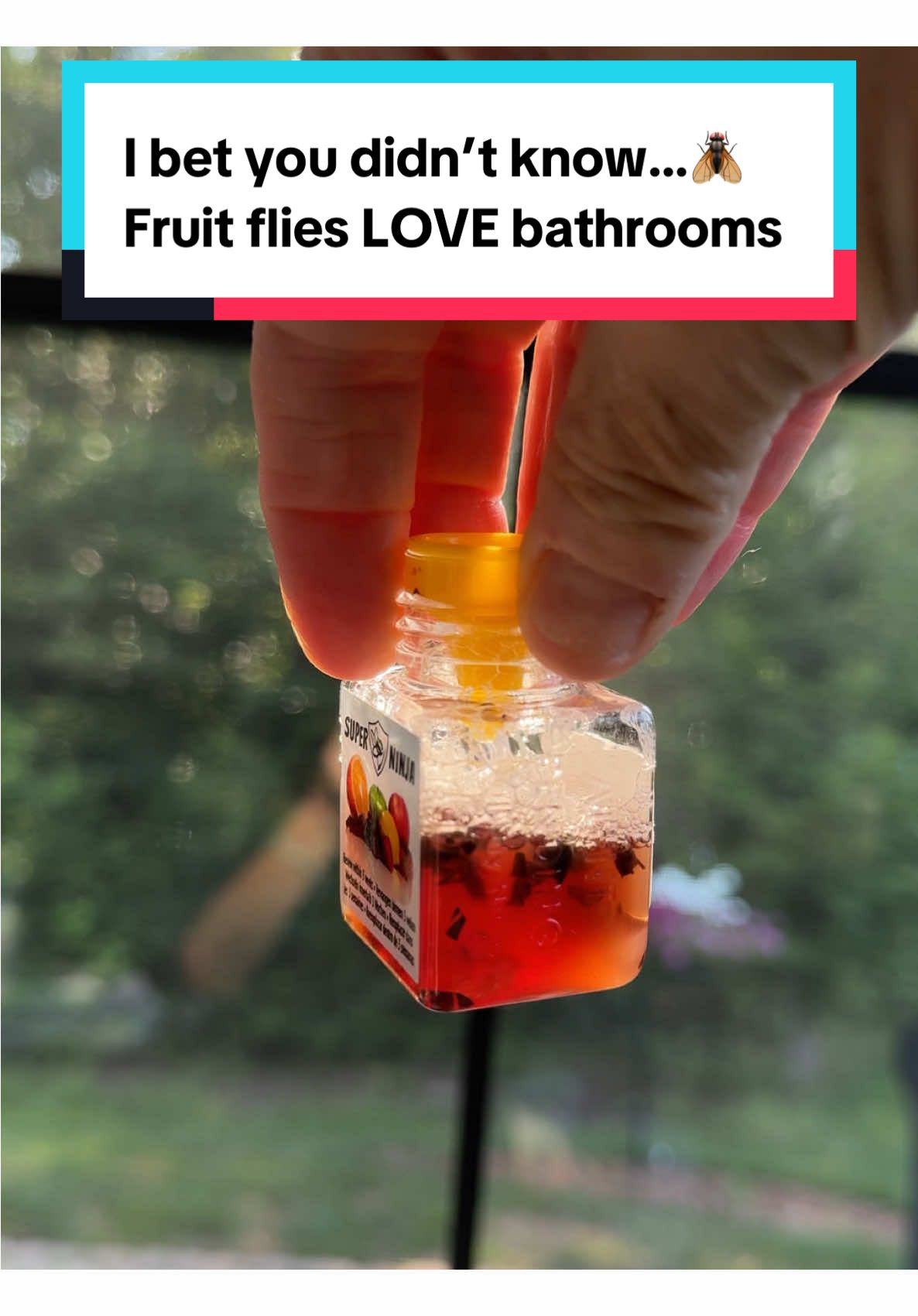 Think fruit flies only stay in the kitchen? 👀 Think again. They breed in bathroom drains, trash, and even soap scum. The Super Ninja Fruit Fly Trap catches them before they multiply—no sprays, no chemicals, just fast results. 👉 Don’t let your bathroom become their breeding ground. Tap the 🛒 orange cart now. #fruitflytrap #fruitfly #bathroomcleaning #pestcontrol #tiktokshopcreatorpicks @Super Ninja 
