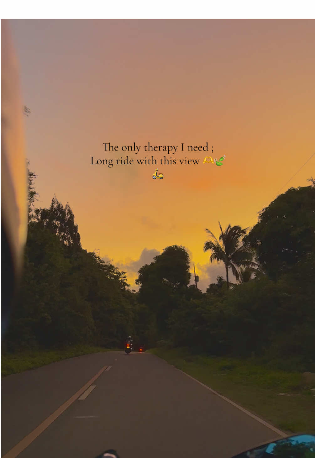 Breathtaking sunrise view of Infanta 🍃#beautifuview #scenicspot #sunsetlover #foryou #creatorsearchinsights 