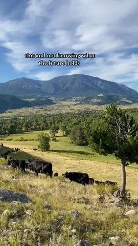 oddly peaceful #fyp #montana #mountains #406 #agriculture 