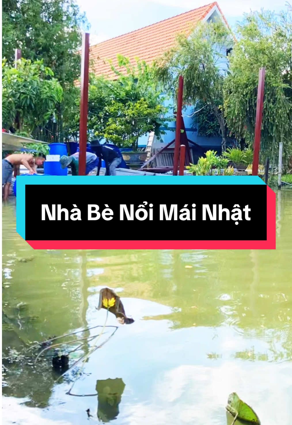 Bàn giao công trình Nhà Bè Nổi mái Nhật,tôn cách nhiệt tại Long An #xuhuong #nhabenoi #nhalapghep #cơkhi #fyp #thinhcokhi #khônggianđẹp #maitondep #
