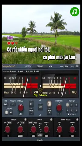 #tiktokawadsvn2025🎸🎻 🪕.         #cailuongvietnam🇻🇳🇻🇳🇻🇳🇻🇳 