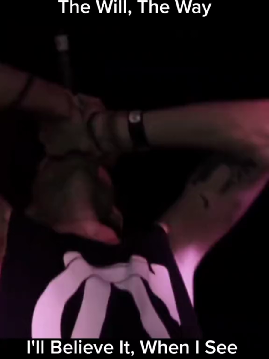 #thewilltheway #illbelieveitwheniseeit #posthardcore #emo #fyp 