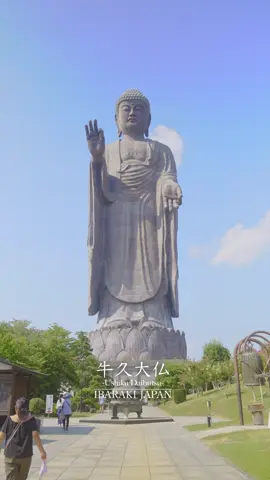 🌏 Amazing Landmark 📍 Ushiku, Ibaraki, Japan 📅 Filmed on August 21, 2025 😲 Did you know Japan has one of the TALLEST Buddha statues in the world? The Ushiku Daibutsu stands at an incredible 120 meters (394 ft)! Bigger than the Statue of Liberty 🙌🔥 #JapanTravel #hiddengems  #fyp  #TravelTok  #naturevibes🌿 