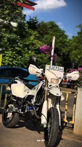 දැක්ක ගමන් බඩු දන්නව හැටී 🤫 #mr_sp #trader #drz400sm #viral #CapCut 