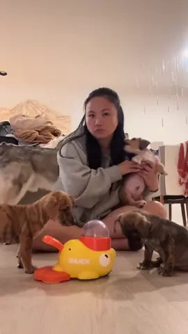 These babies hate this toy 