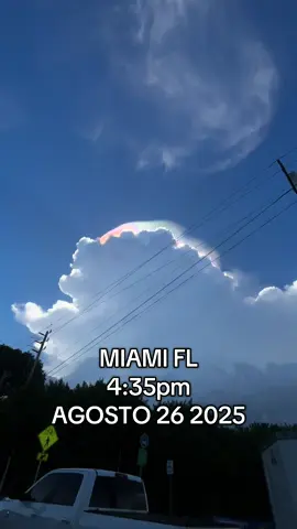 🤩