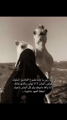 إلا يا زين يا غاية طموح العاشق المملوك .. #بدون_موسيقى #شيلات_بدون_موسيقى 