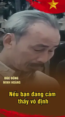 Cảm ơn chủ tịch Hồ Chí Minh đã dành cả cuộc đời chiến đấu cho độc lập tự do của dân tộc Việt Nam #dodong #hochiminh #dodongminhhoang #datvang #dotho 