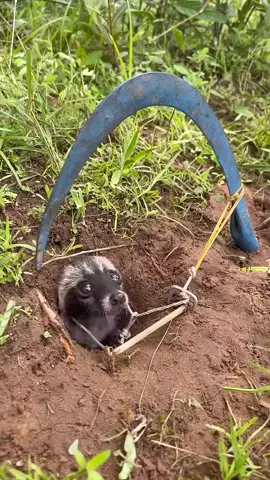 SMART idea and USEFUL. With a pet #camping #survival #idea