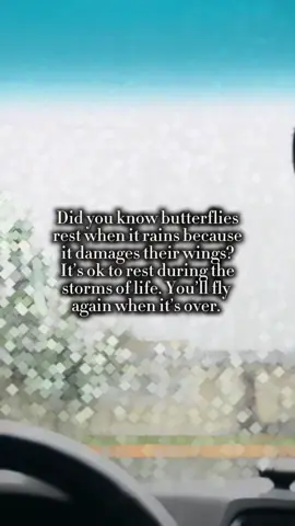#throughthestorm #storms #butterfly #transformation #fypシ 