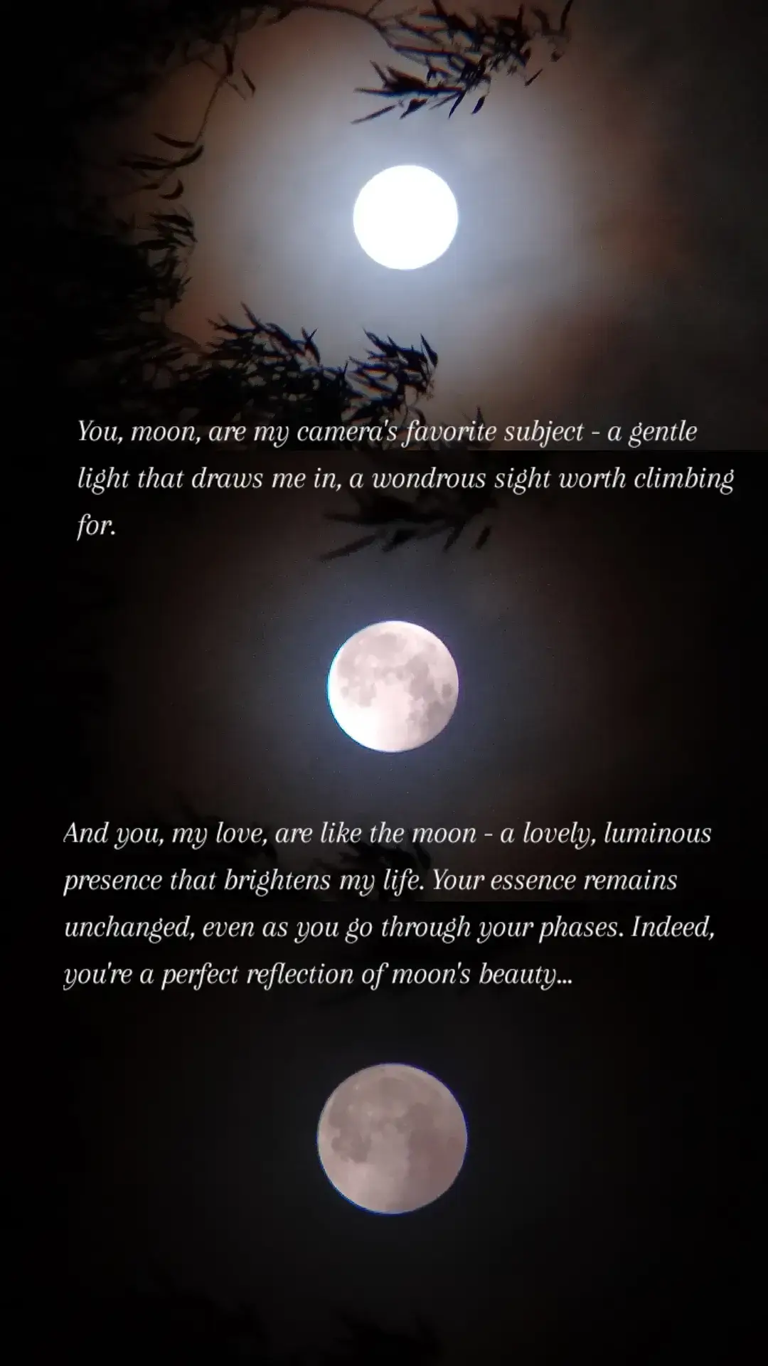Lunar love 🌕✨🤍  📷 Shot on iPhone 7 #fypシ゚viral #fyp #moonphotography #nature #moon