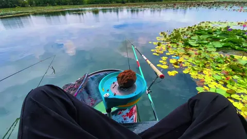Hồ quân đôi - Bàu trắng - Lâm Đồng 🎣#câu_cá #câucá #cauca #câucatựnhiên #caucagiaitri🎣 
