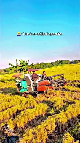 di copy lagi😅😜#fypviral #kubota70plus02 #operatormuda #petaniindonesia🇮🇩🇮🇩🇮🇩🌿🌿 #kuliboy🤙😜🚀 
