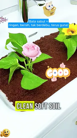 🌱💐 Organic soil makes healthier fruits and vegetables grow. I'm loving it!#tanahnutrien #batasabutkelapa #batasabutkelapanutrien #trendingtiktok #Ramadan2025