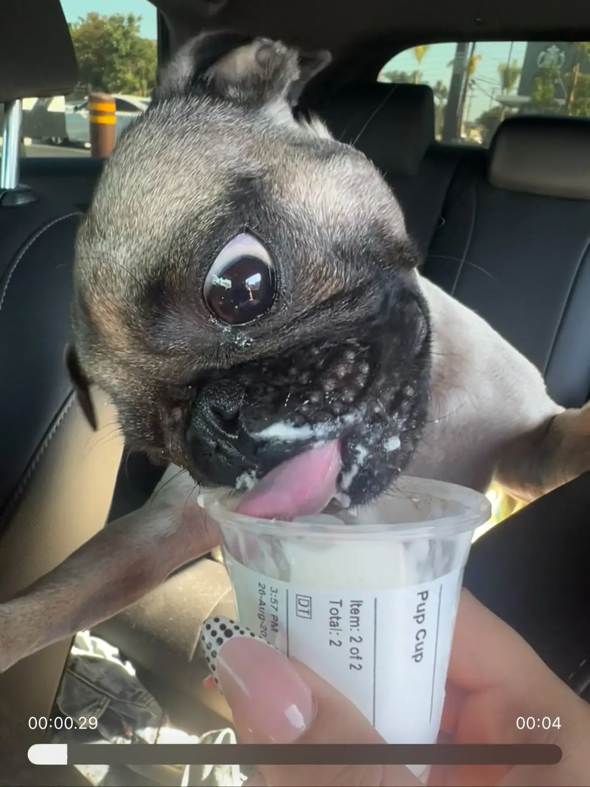 #pupcup 