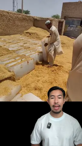 วิธีการเก็บน้ำแข็งที่ใช้กันมาตั้งแต่สมัยโบราณ