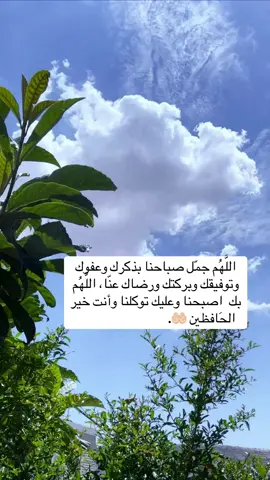 صباح الخير 🌸🍃 اذكار الصباح 🌸🍃الاستغفار 🌸🍃#اكسبلورررررررررررررررررررر #