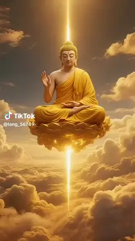 nam mô tây phương cực lạc thế giới đại từ đại bi a Di Đà Phật 🙏🙏🙏🌅 nam mô bổn sư thích ca mâu Ni Phật 🙏🙏🙏🌅 nam mô đại bi quán thế âm bồ tát 🙏