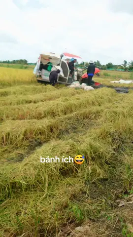 @phm.tn254 @Tài xế máy cắt 62 tây ninh🇻🇳 @H™Thật°62•LA° 