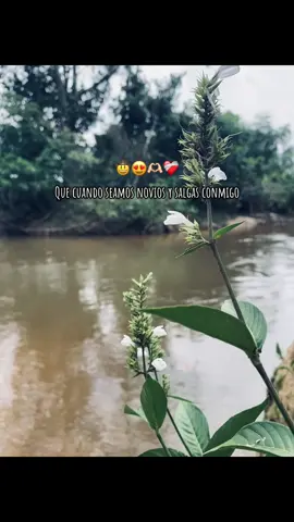 #fy #paratiiiiiiiiiiiiiiiiiiiiiiiiiiiiiii #😍 #🤠😍☘️ #viraltiktok 